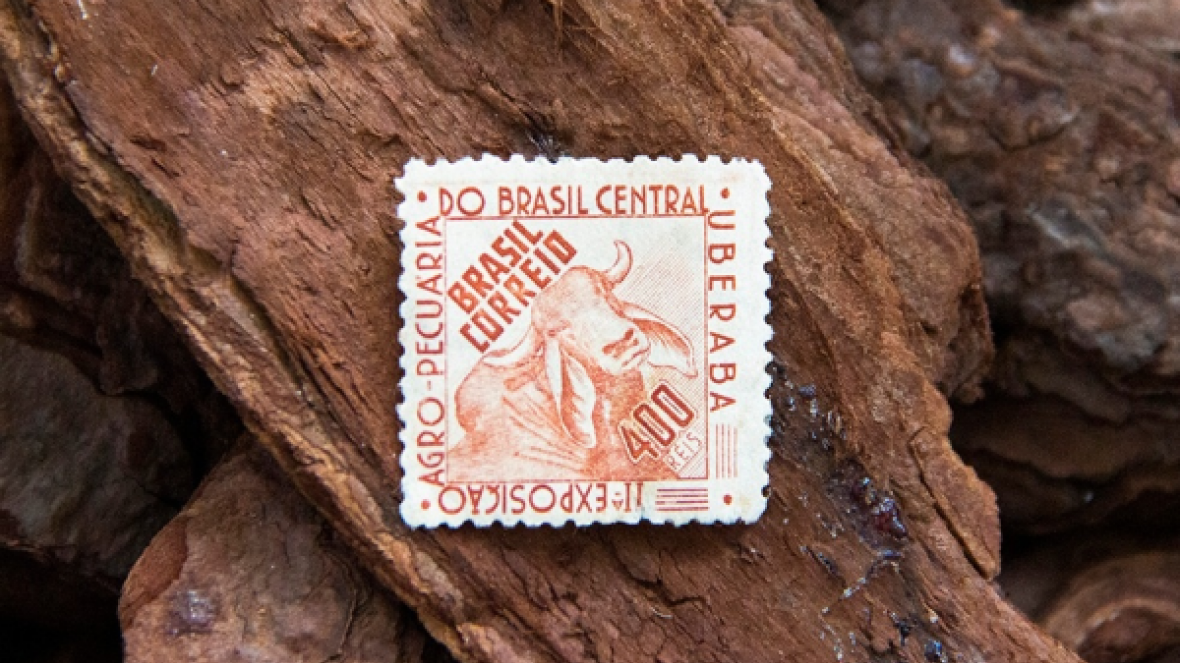 Museu do Zebu recebe doação de selo comemorativo da segunda ExpoZebu