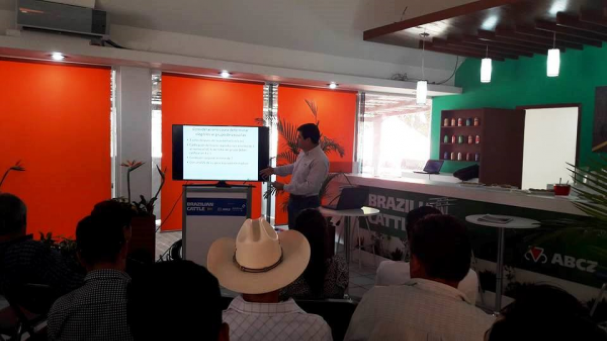 Abertura de mercado mexicano será tema de reunião da ABCZ em Chiapas