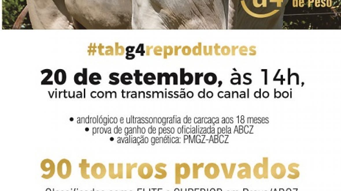 ?Leilão TAB G4 Reprodutores? será realizado no próximo domingo (20), com mais de 90 touros Tabapuã