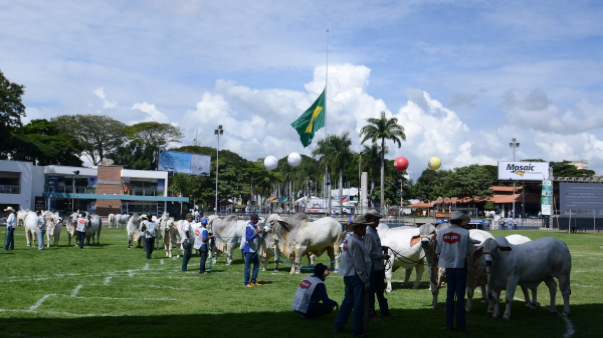 ABCZ discute conceito de Carne Carbono Neutro durante encontro na ExpoZebu 2019