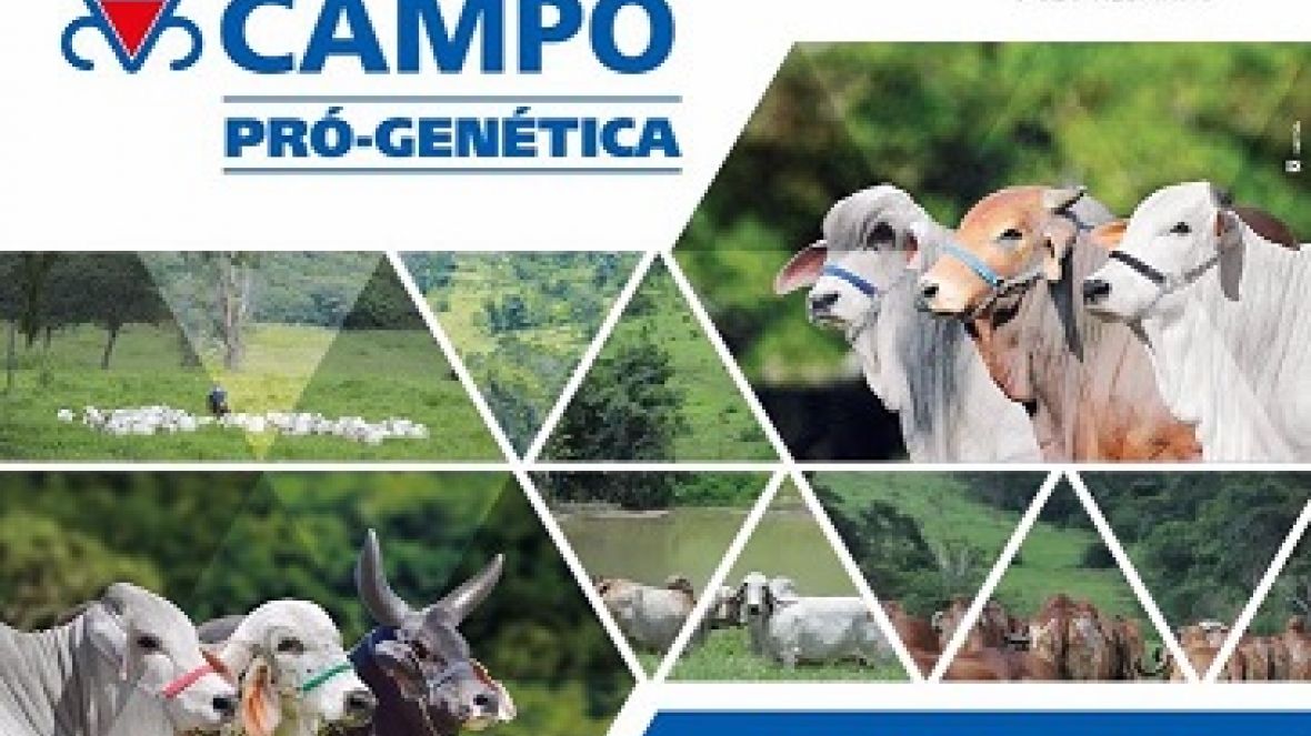 Eventos sobre Melhoramento Genético movimentam agenda em Rondônia 