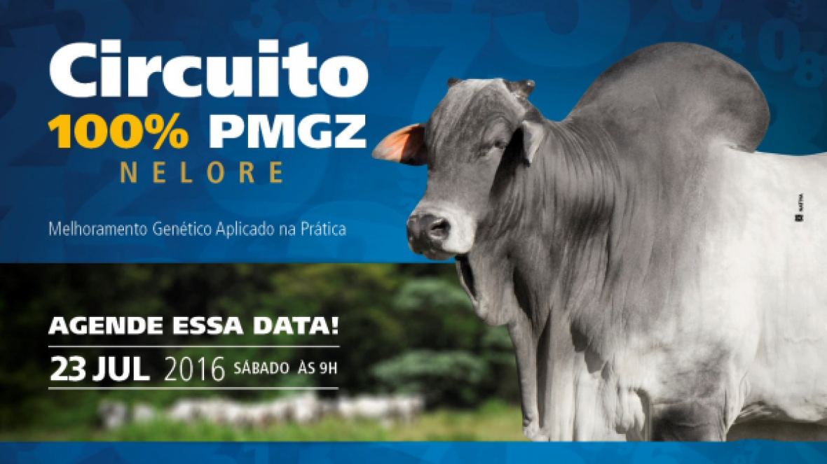 Naviraí sedia Circuito 100% PMGZ em Uberaba, MG