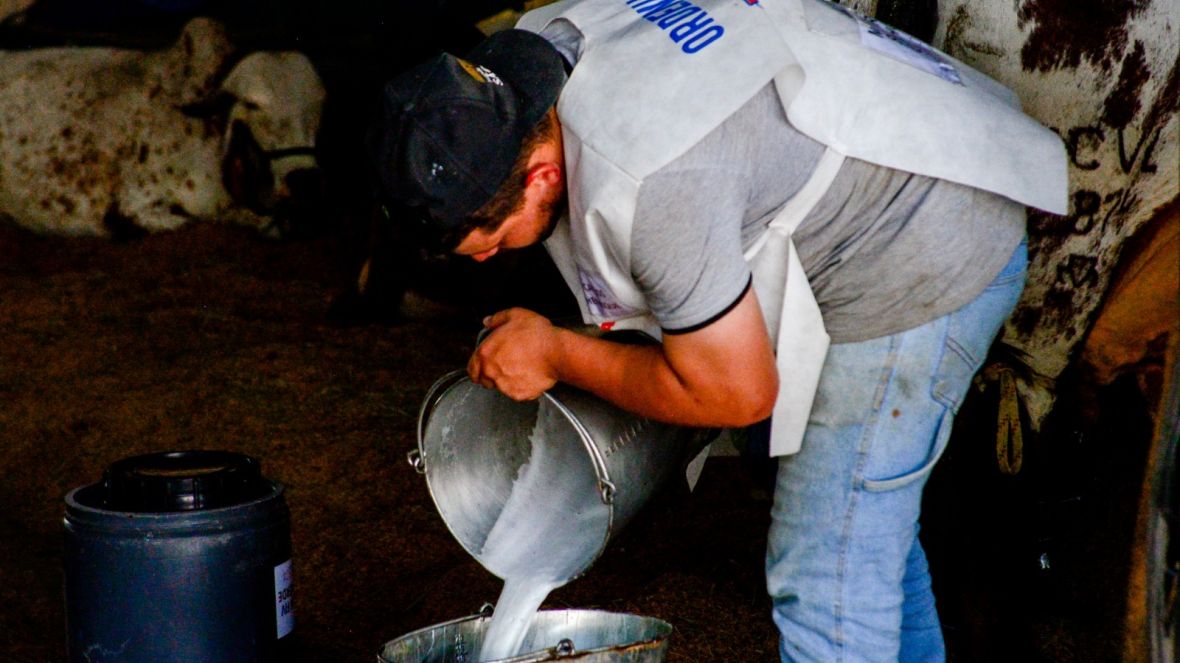 Inscrições para o Concurso Leiteiro da 91ª ExpoZebu começam nesta quinta-feira (5)