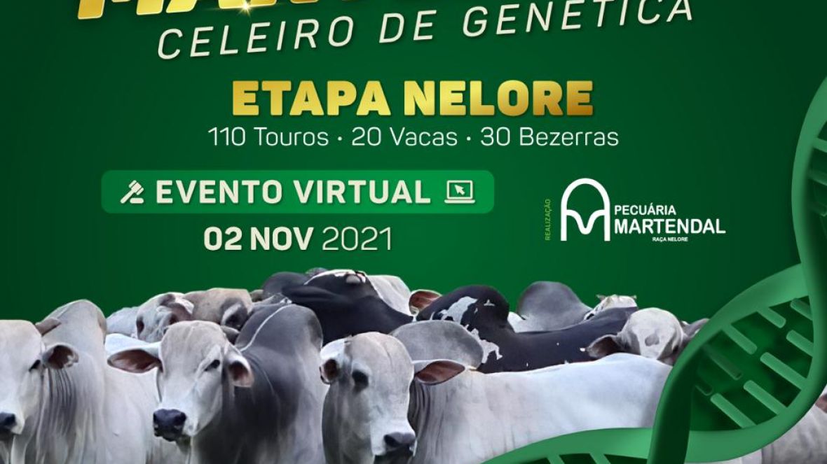 Faltam 5 dias para o 17º Leilão Martendal - Celeiro de Genética