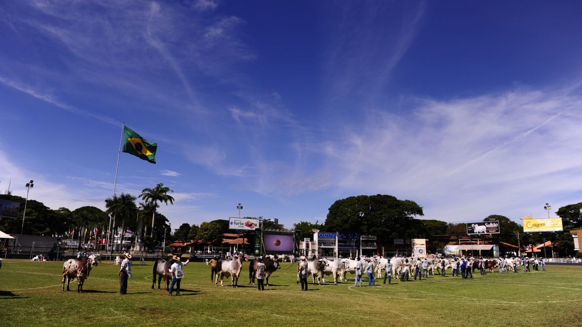 ExpoZebu 2023: Prazo para indicação de jurados termina na segunda-feira (3)