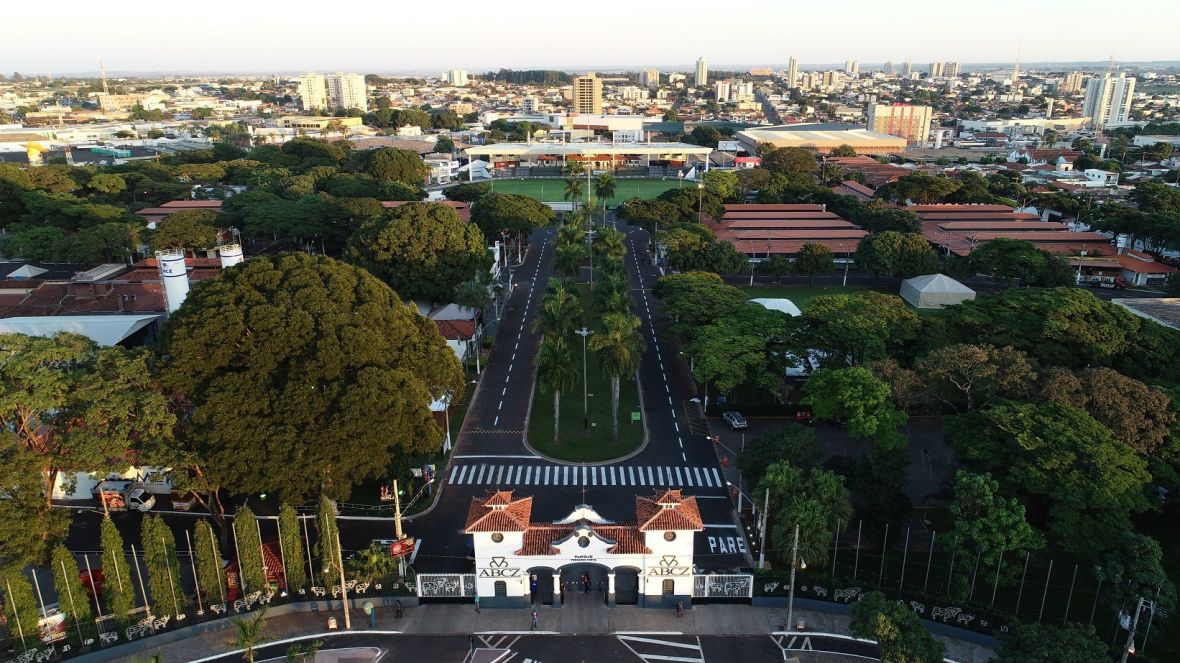 Rota das Árvores: ABCZ apresenta projeto inédito para o Natal no Parque