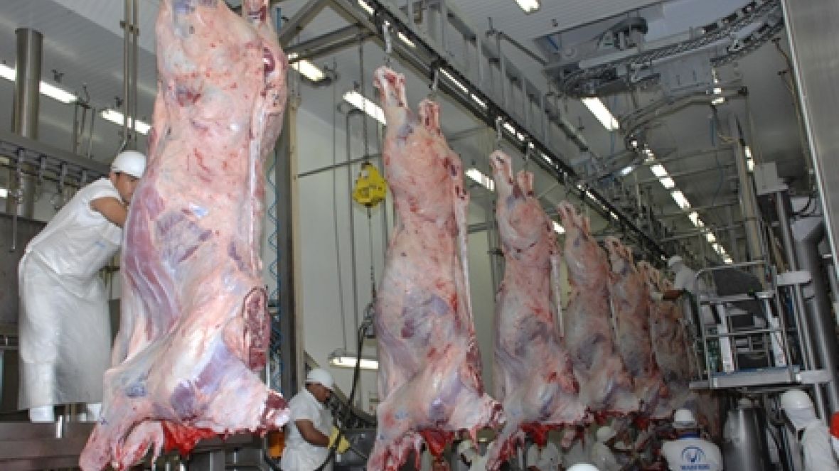 Setor agropecuário terá mais atenção em questões de mercado externo