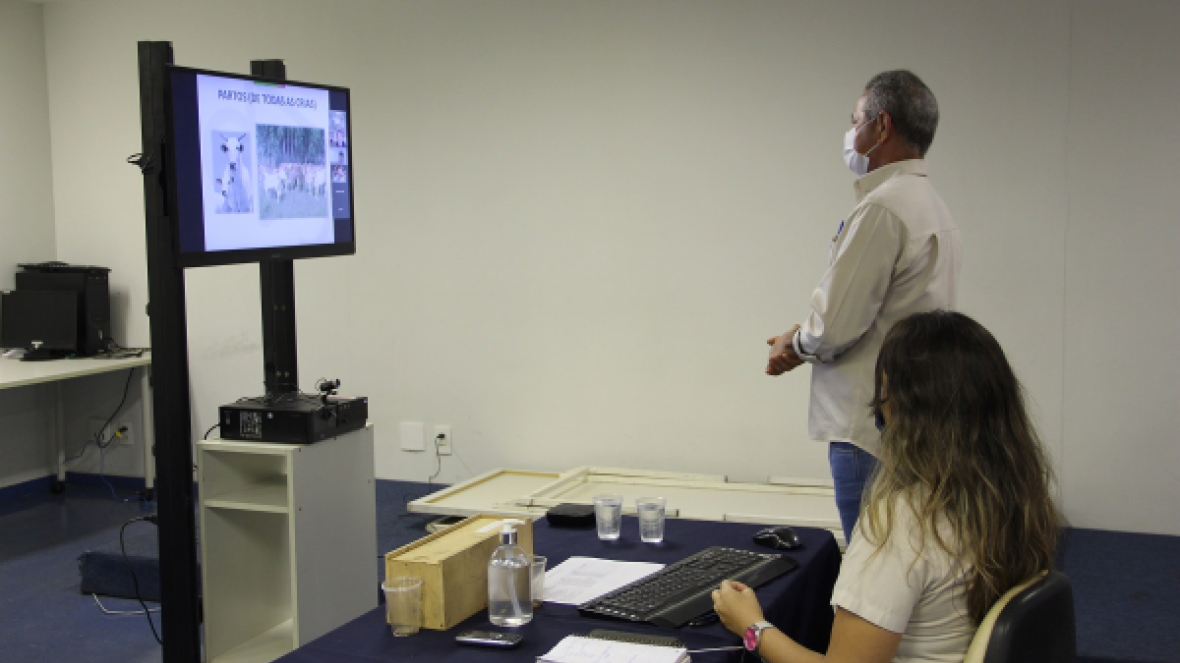 ABCZ inicia sequência de cursos virtuais de Escrituração Zootécnica