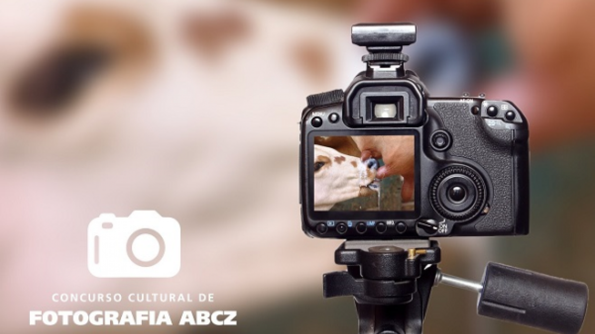 Prorrogadas inscrições para Concurso de Foto e Prêmio de Reportagem