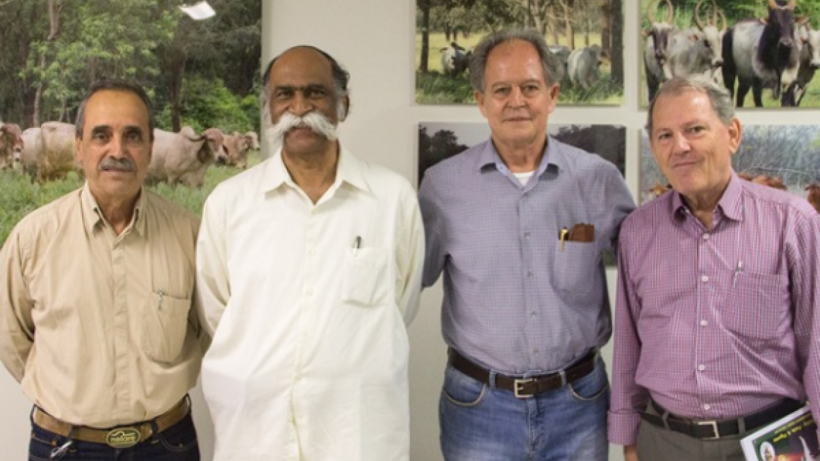 Criador indiano visita ABCZ e busca linhagens leiteiras no Brasil  