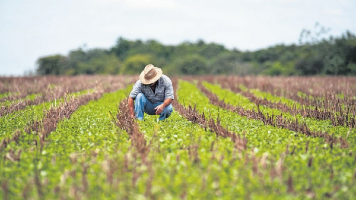 Produtor rural não é vilão?