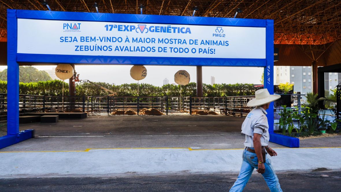 ExpoGenética 2024: mesa-redonda abordará pontos críticos da seleção genética