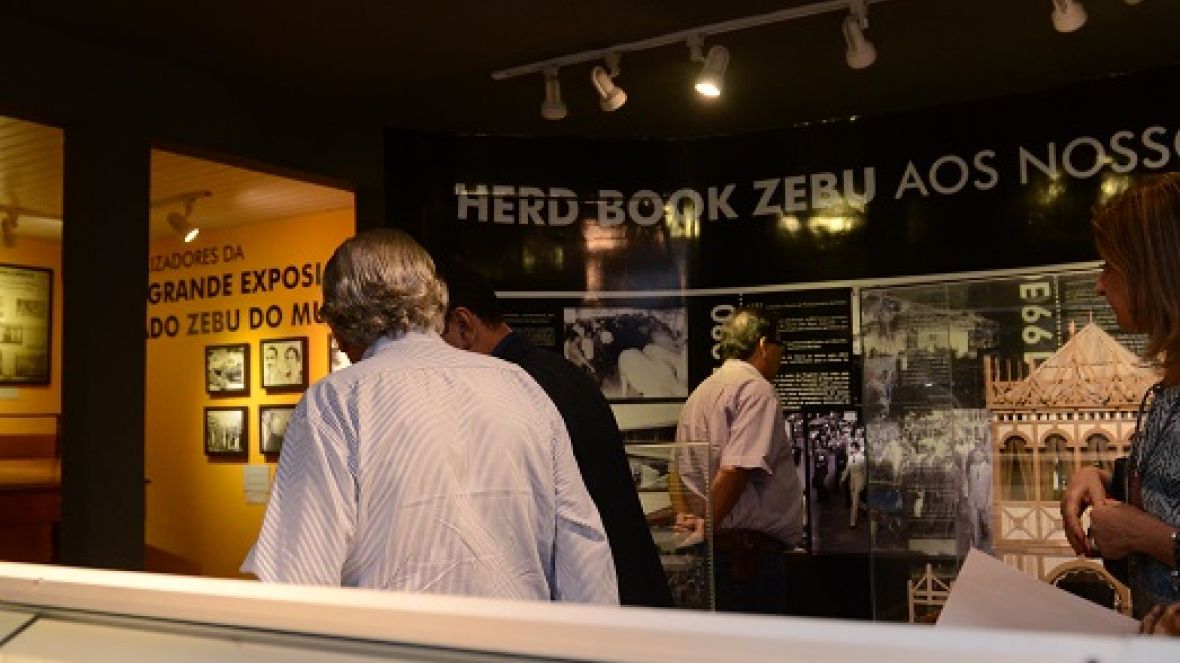 Visitantes da ExpoGenética poderão acompanhar a Mostra dos 100 anos da ABCZ