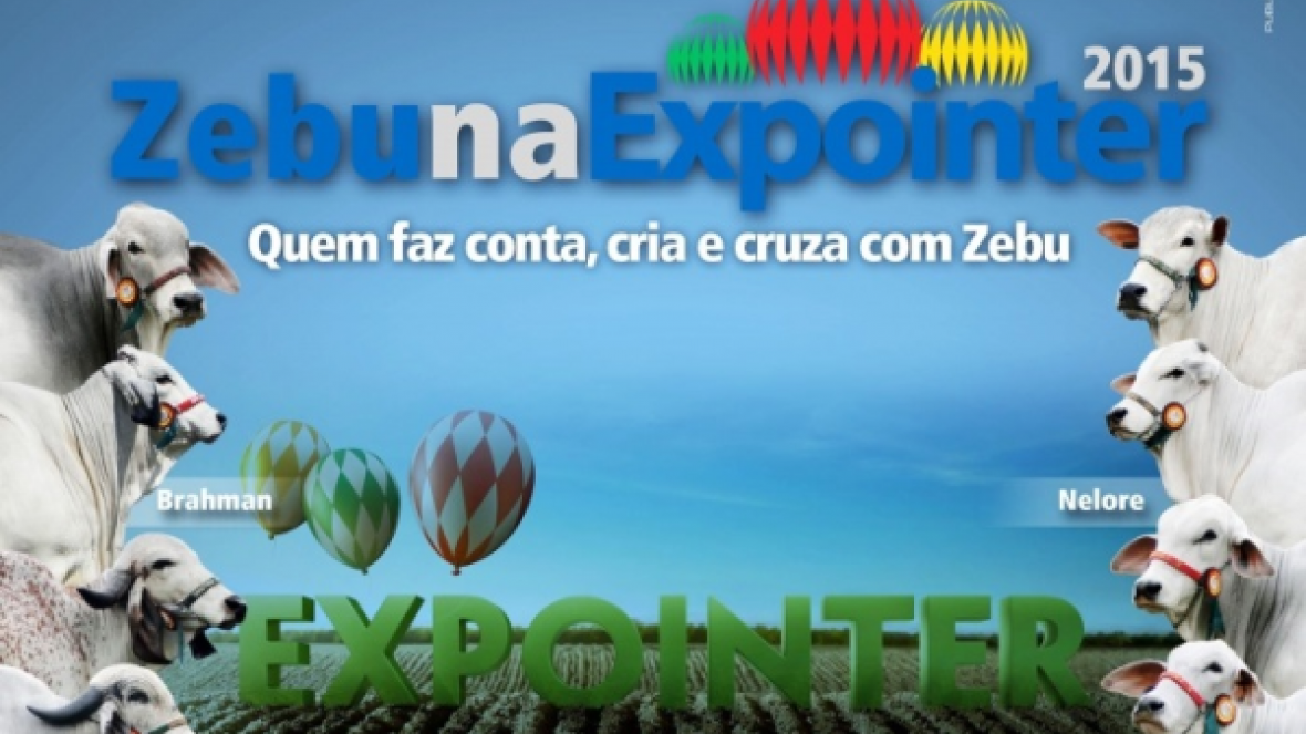 Participação de raças zebuínas cresce 15% na Expointer
