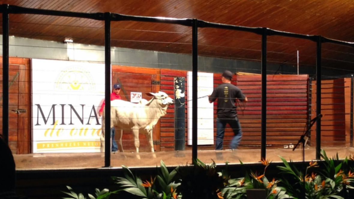 Expoinel Minas 2015 fecha com resultado positivo