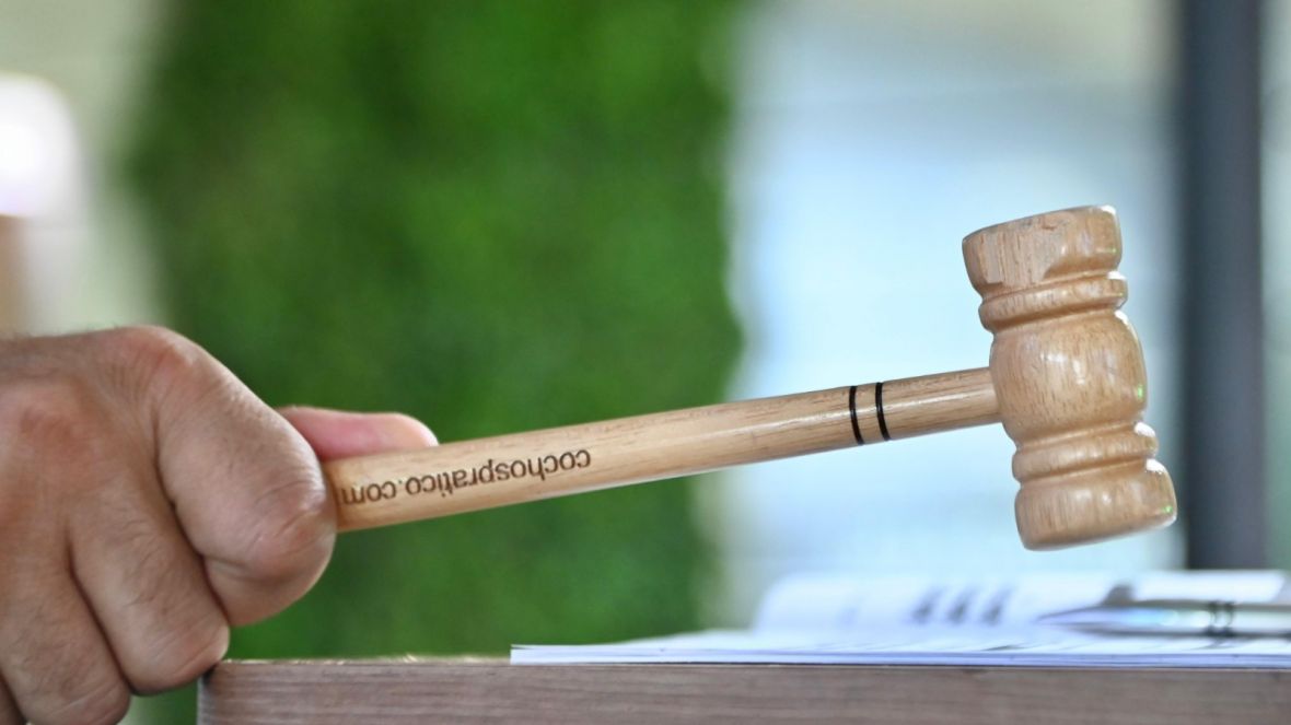 Leilões da 89ª ExpoZebu já somam mais de R$ 112 milhões em faturamento