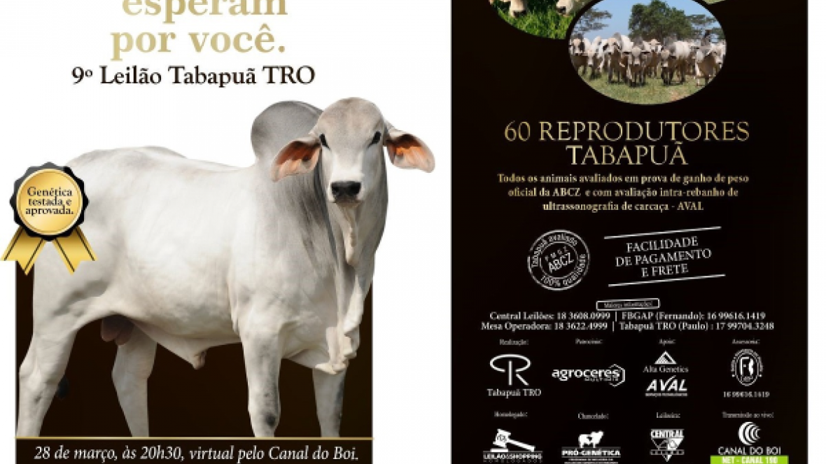 ?9º Leilão Tabapuã TRO? vai oferecer 60 reprodutores