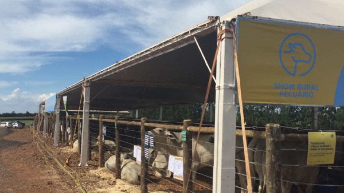 Feira do Pró-genética é destaque em programação da Show Rural Coopavel