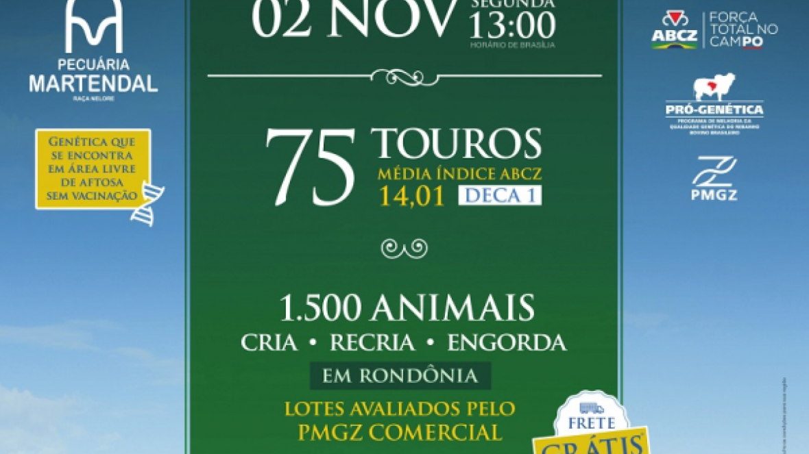 ?16º Leilão Martendal? será realizado na próxima segunda (02)