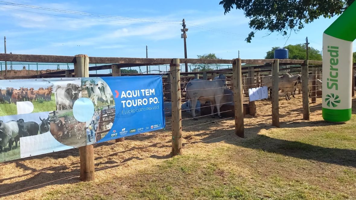 ABCZ comemora sucesso da Feira Pró-Genética de Monte Carmelo (MG)