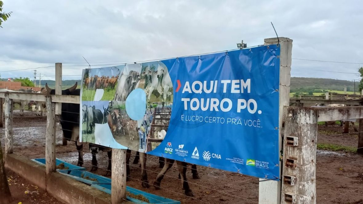 Sucesso da Feira de Touros do Pró-Genética em Comendador Gomes