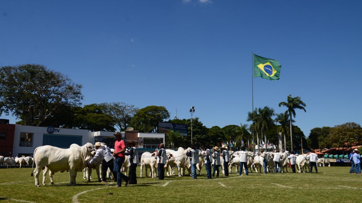 90ª ExpoZebu: inscrições pelo site da ABCZ são encerradas