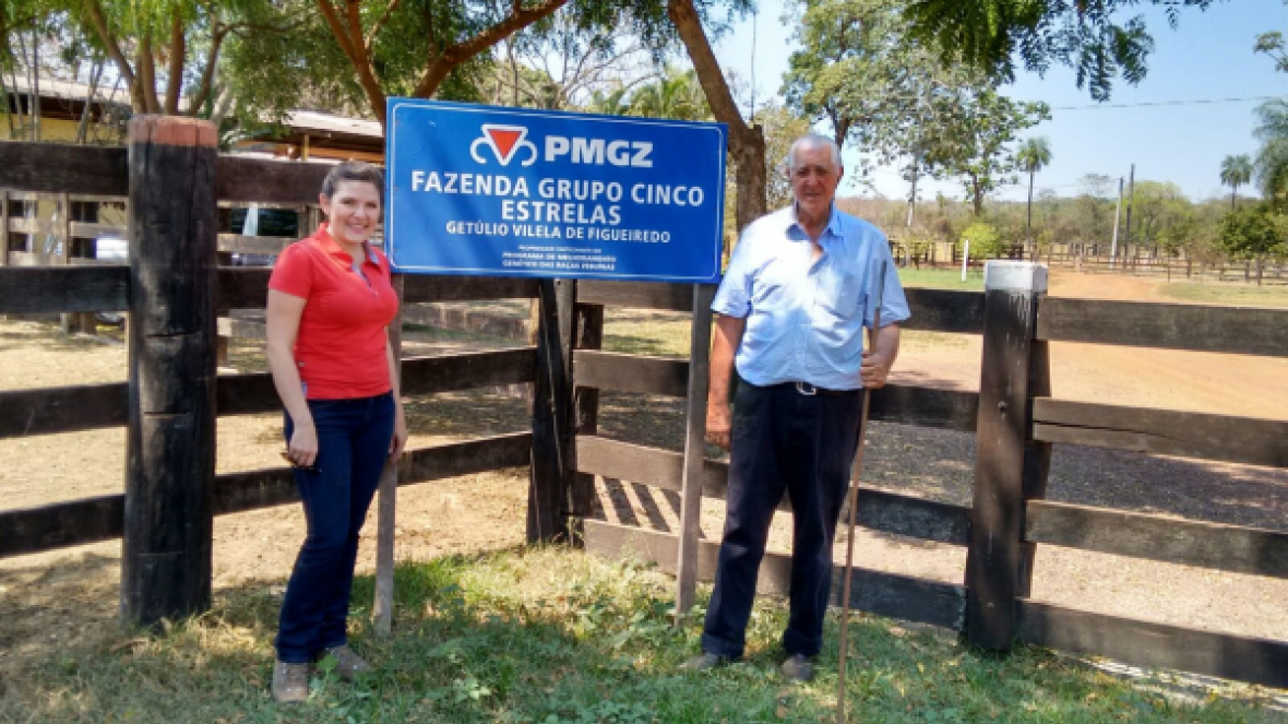 Grupo Cinco Estrelas utiliza PMGZ Leite para selecionar Gir Leiteiro no MT