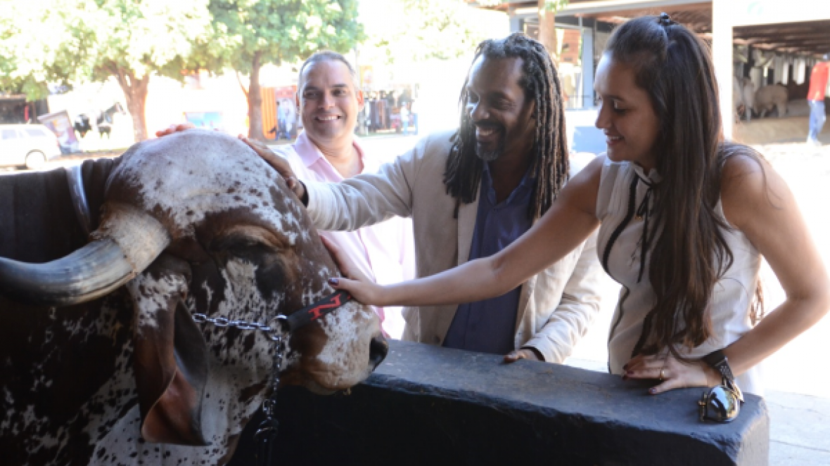 Representantes de escolas de samba visitam Uberaba e querem levar Zebu para o Carnaval carioca