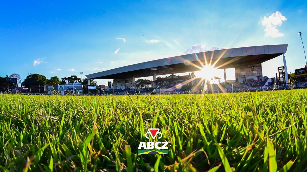 Julgamentos das raças zebuínas marcam a programação deste domingo na 91ª ExpoZebu