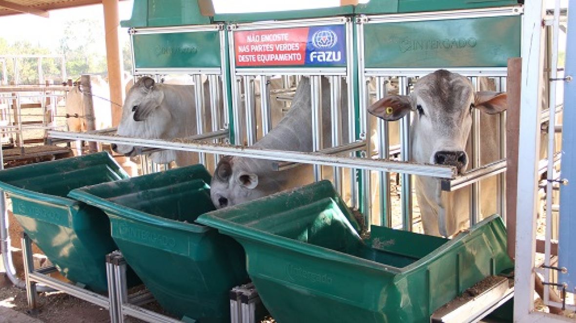 Inscrições para PNAT 2021 terminam na próxima sexta (19)