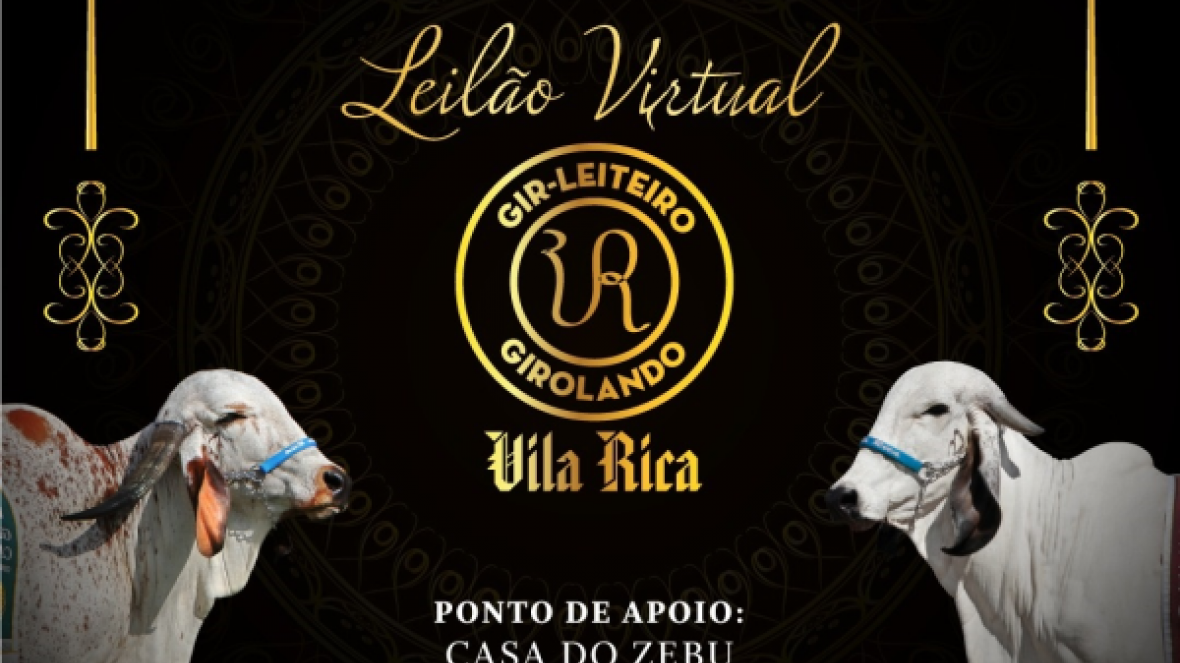 ?Leilão virtual Vila Rica Agropecuária? será realizado na próxima sexta (27)