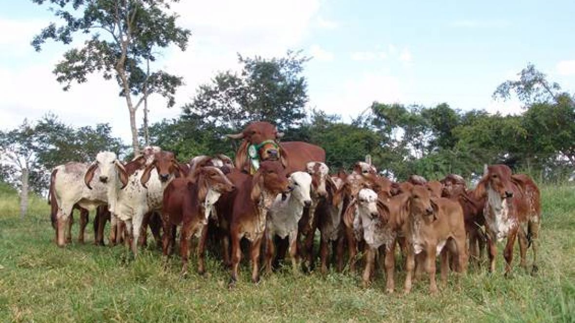 Definidos vencedores do Concurso Cultural de Fotografia ABCZ