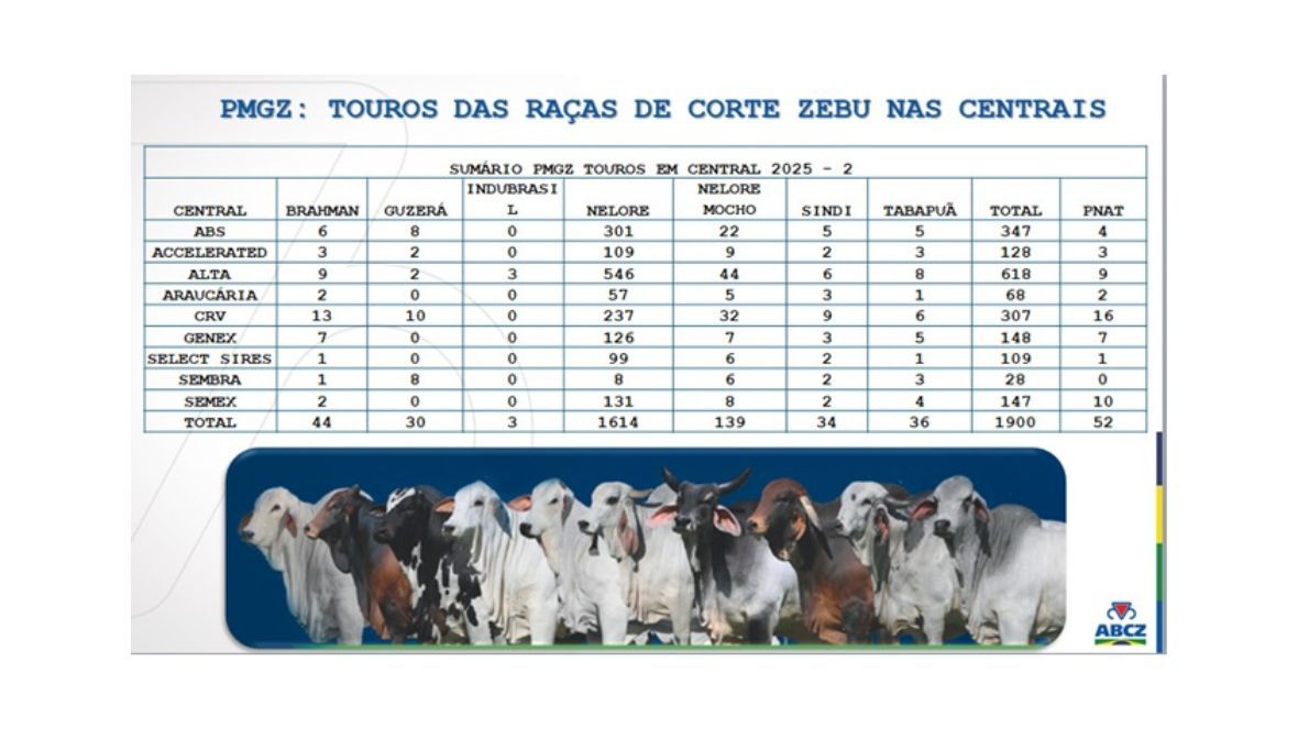 Sumário PMGZ da ABCZ possui o maior número de touros avaliados presentes nas centrais de IA