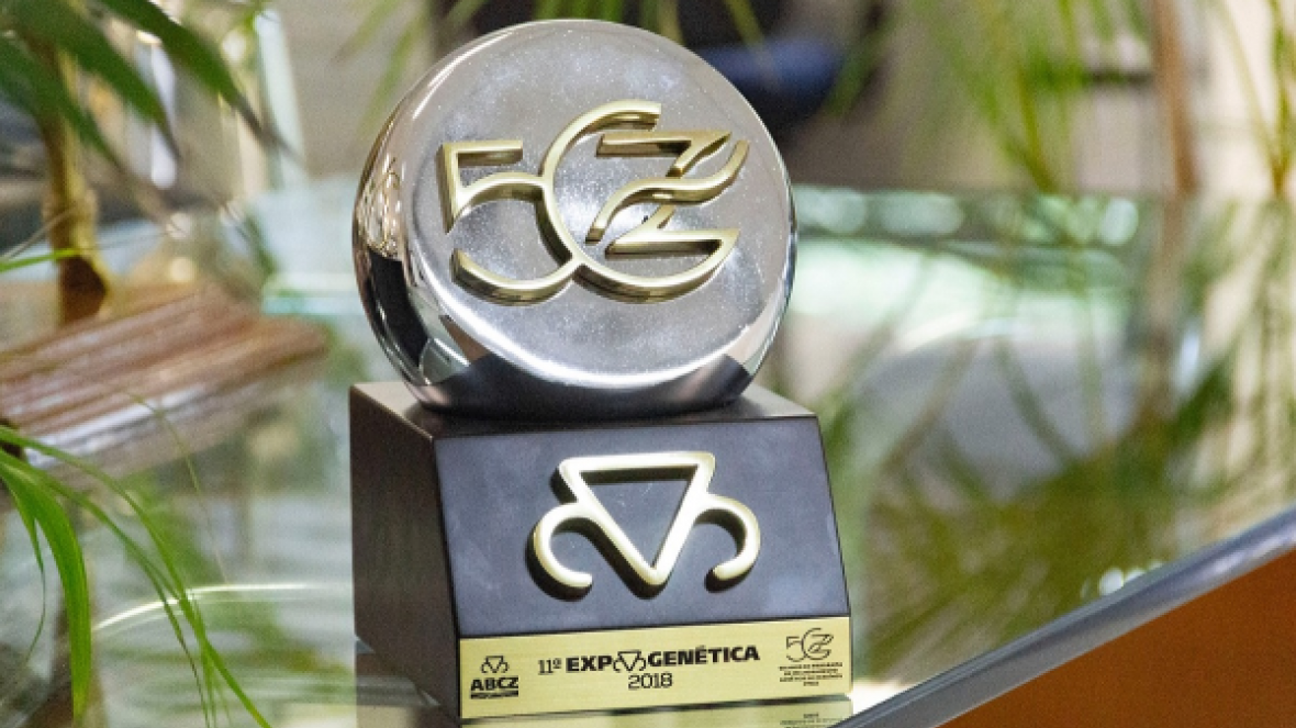 Monumento em comemoração aos 50 anos do PMGZ será inaugurado na próxima 4ª