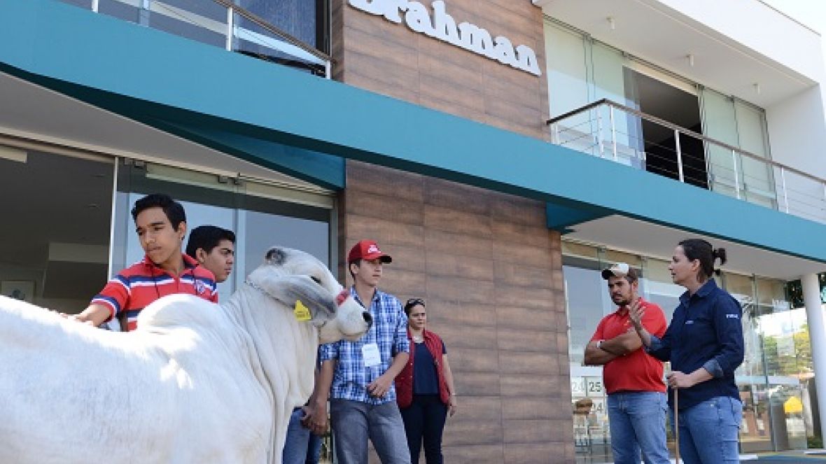 Crescendo com o Brahman incentiva novas gerações a atuarem na pecuária