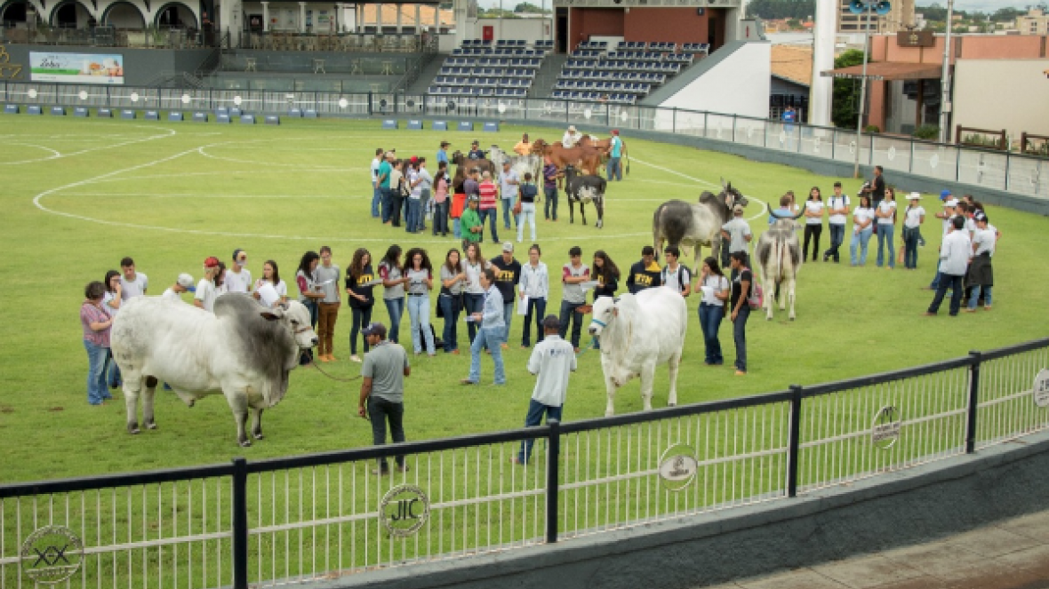 Alunos do IFTM participam de minicurso na ABCZ