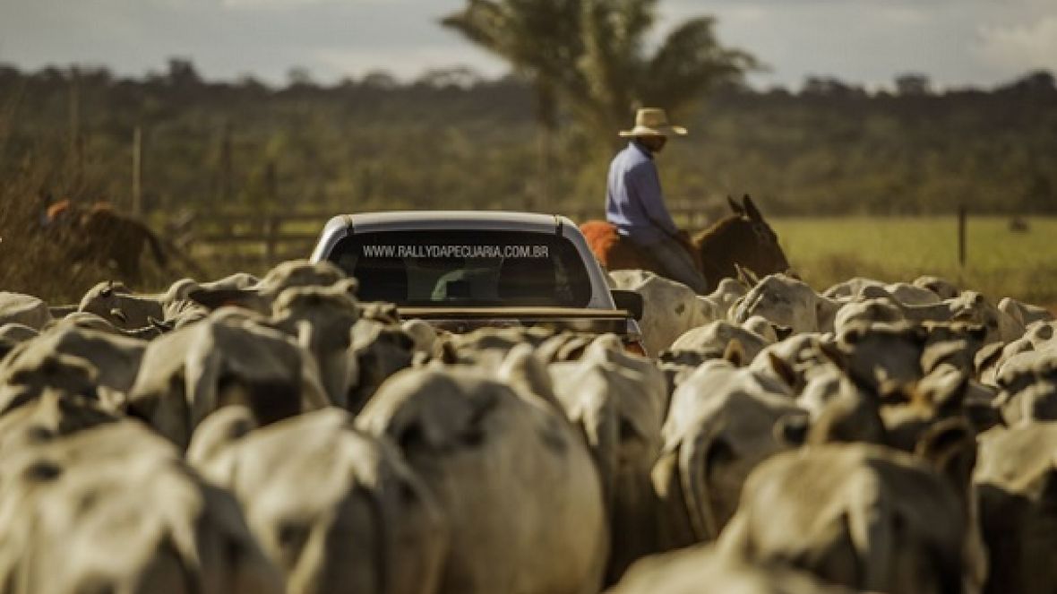 ABCZ participa do Rally da Pecuária em São Paulo
