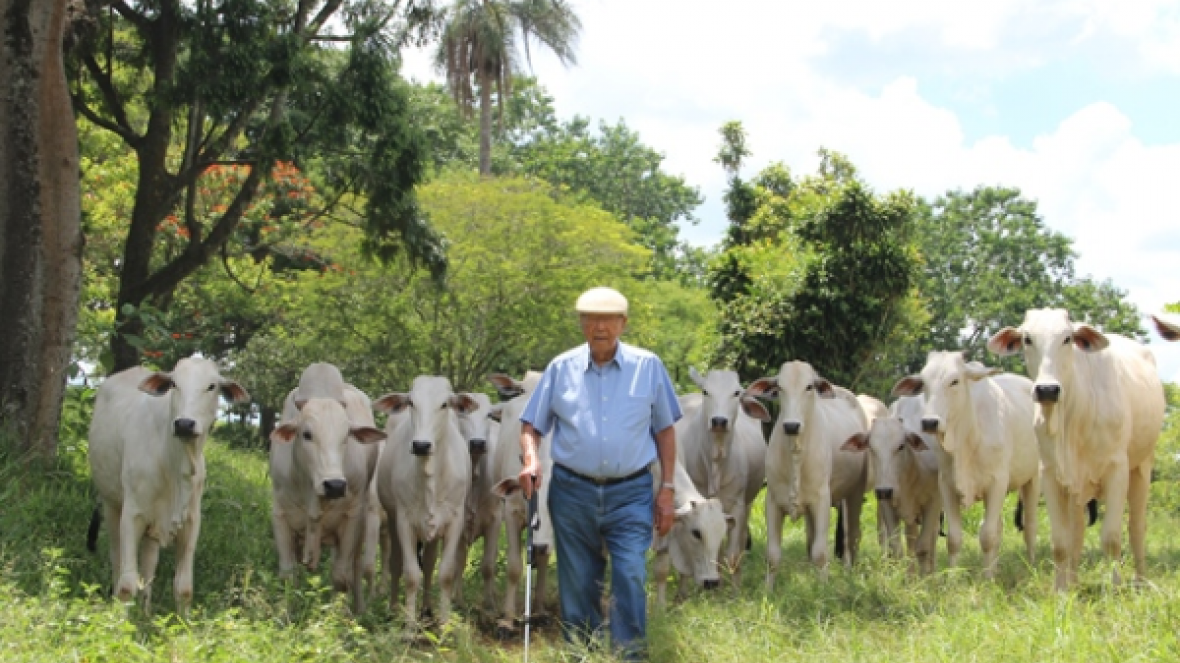 Associados da ABCZ e amigos do zebu são homenageados pela ABC