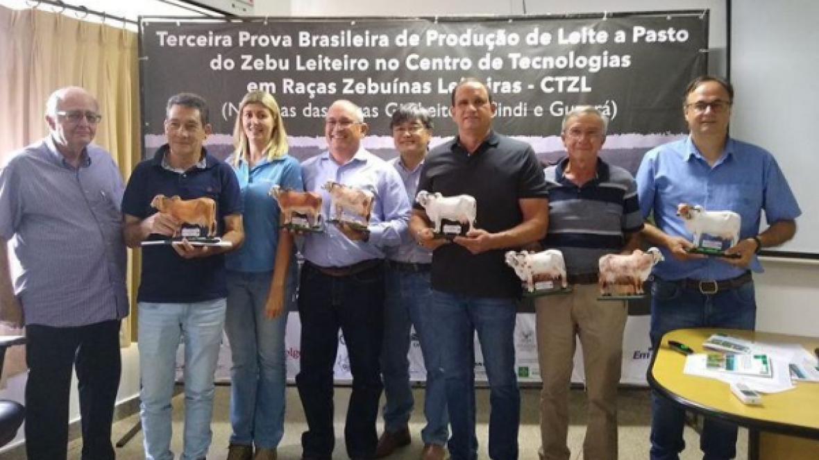 ABCZ participa da 3ª Prova Brasileira de Produção de Leite a Pasto de Zebu Leiteiro