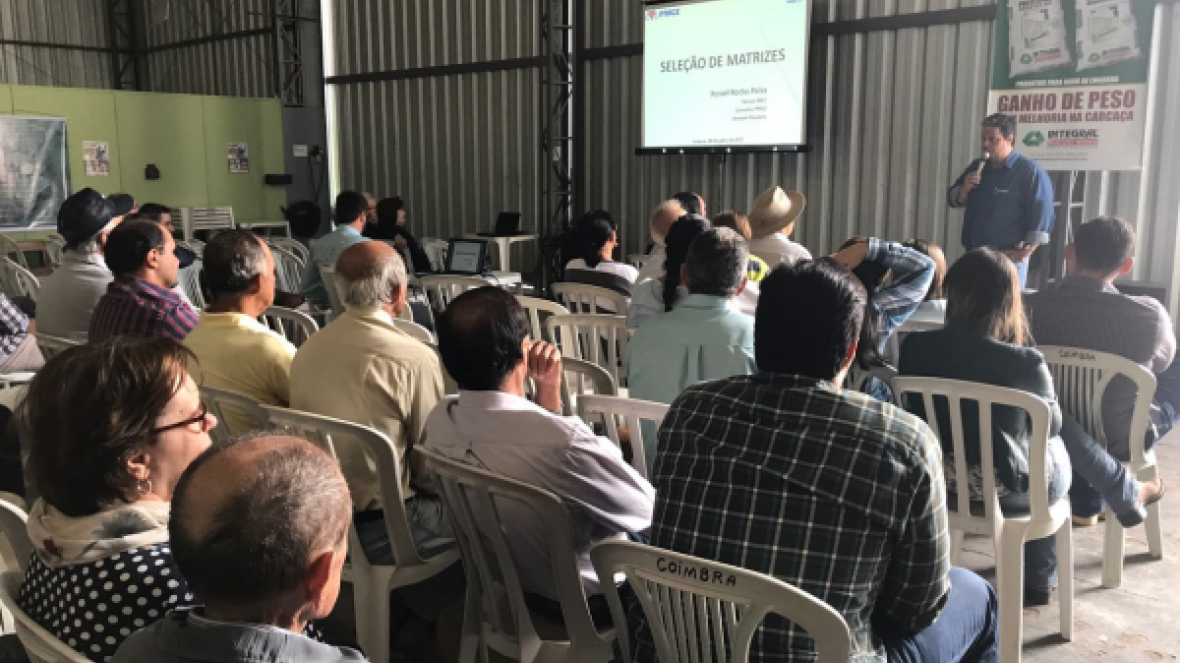 Dia de Campo apresenta touros do 2º Leilão Excelência do Nelore 