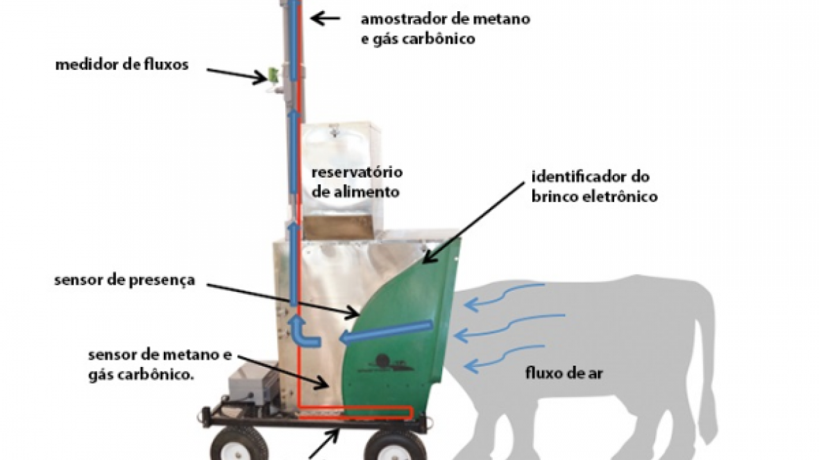 Cocho automatizado mede gases de efeito estufa