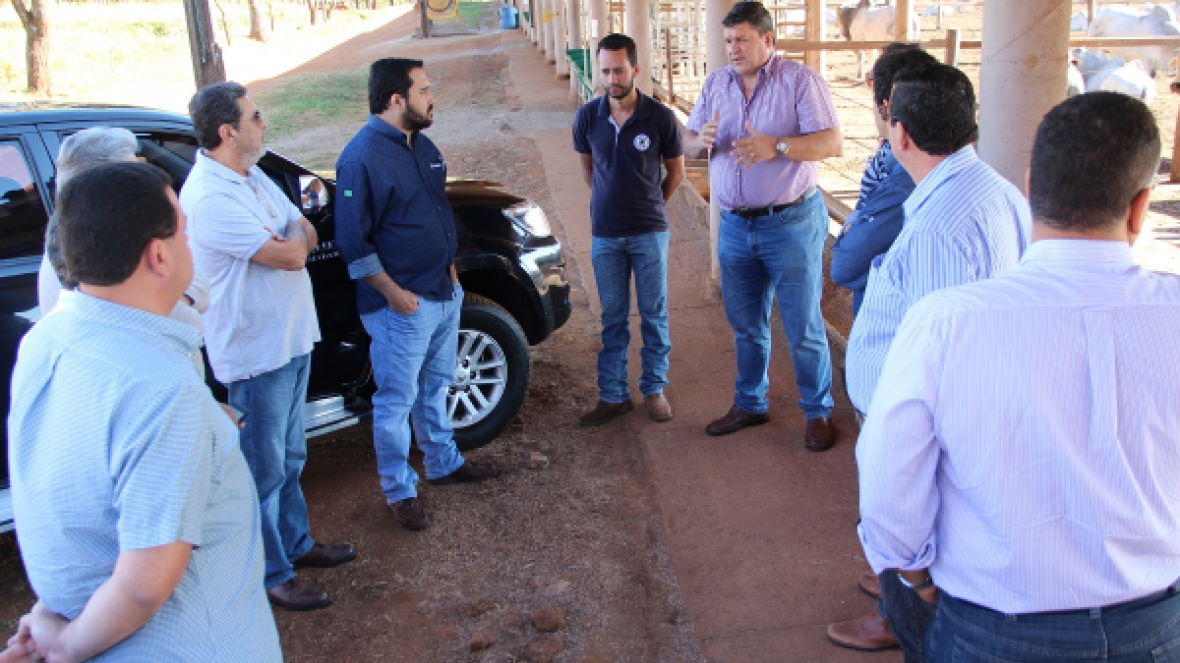 Membros do CDT visitam touros que participam de prova do PNAT