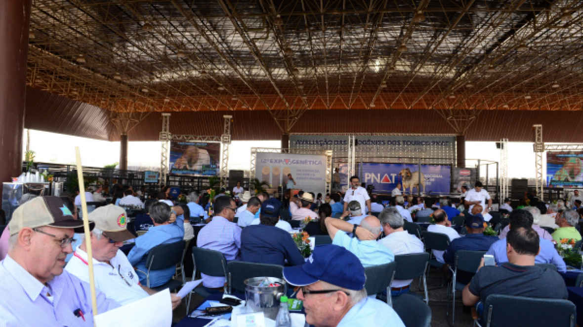 Leilão do PNAT é sucesso com participação de criadores de todo o país