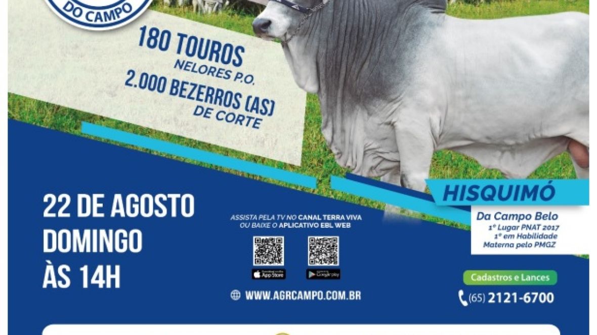 ABCZ homologa 5º edição do leilão Agropecuária do Campo