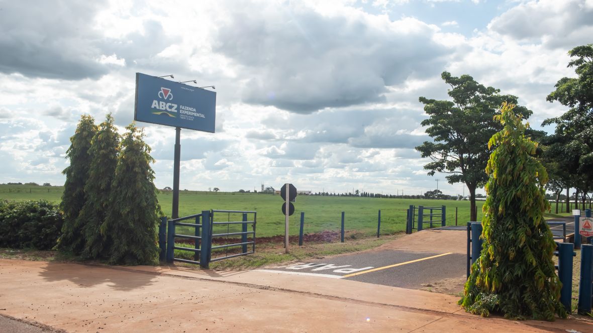90ª ExpoZebu: Dia de Campo celebra 10 anos com programação especial