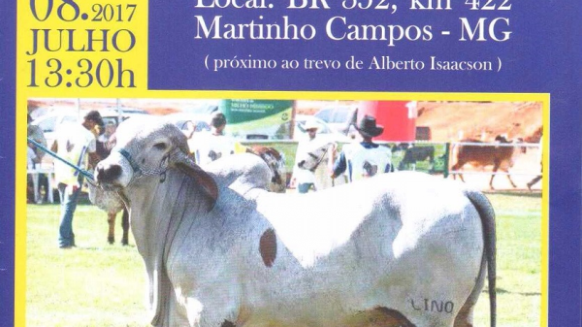 Dia de campo e leilão movimentam Martinho Campos (MG) nesse sábado