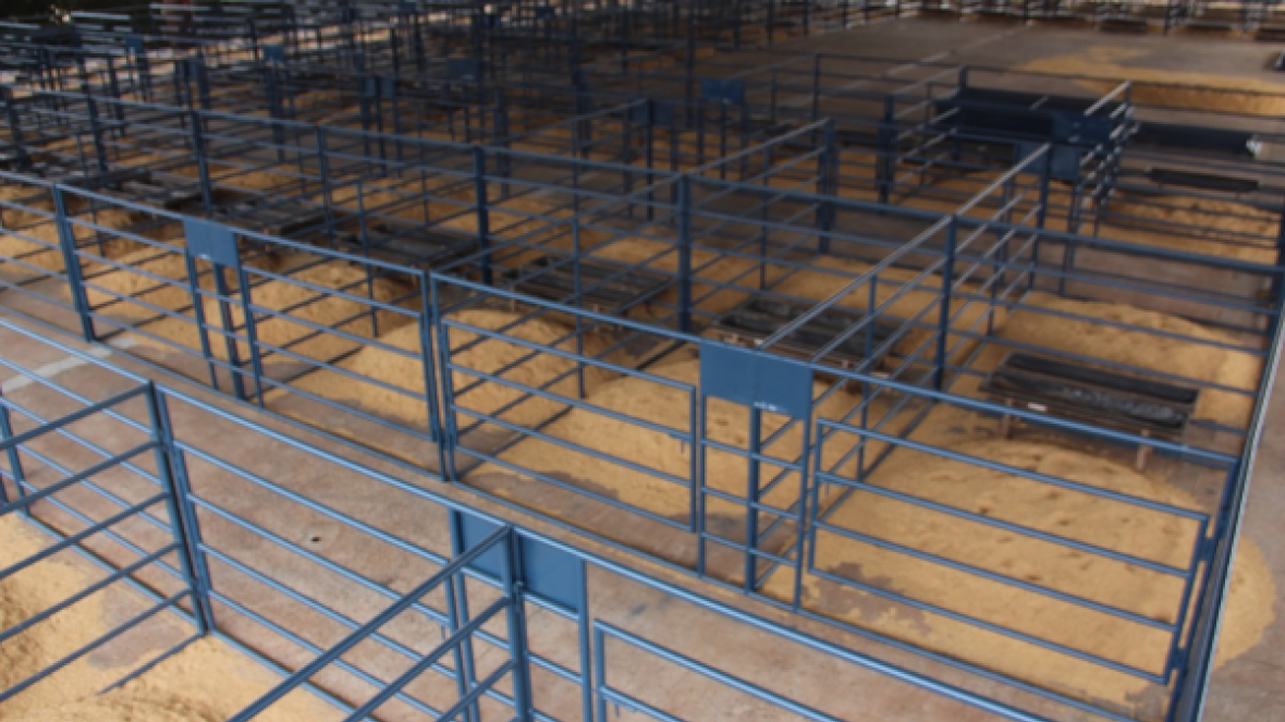 ExpoGenética 2018: estrutura em pavilhões e Multiuso já está sendo montada