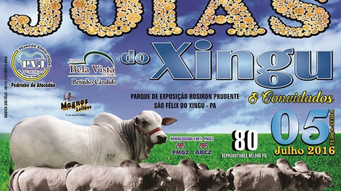 7º Leilão Jóias do Xingu e convidados oferta animais avaliados pelo PMGZ