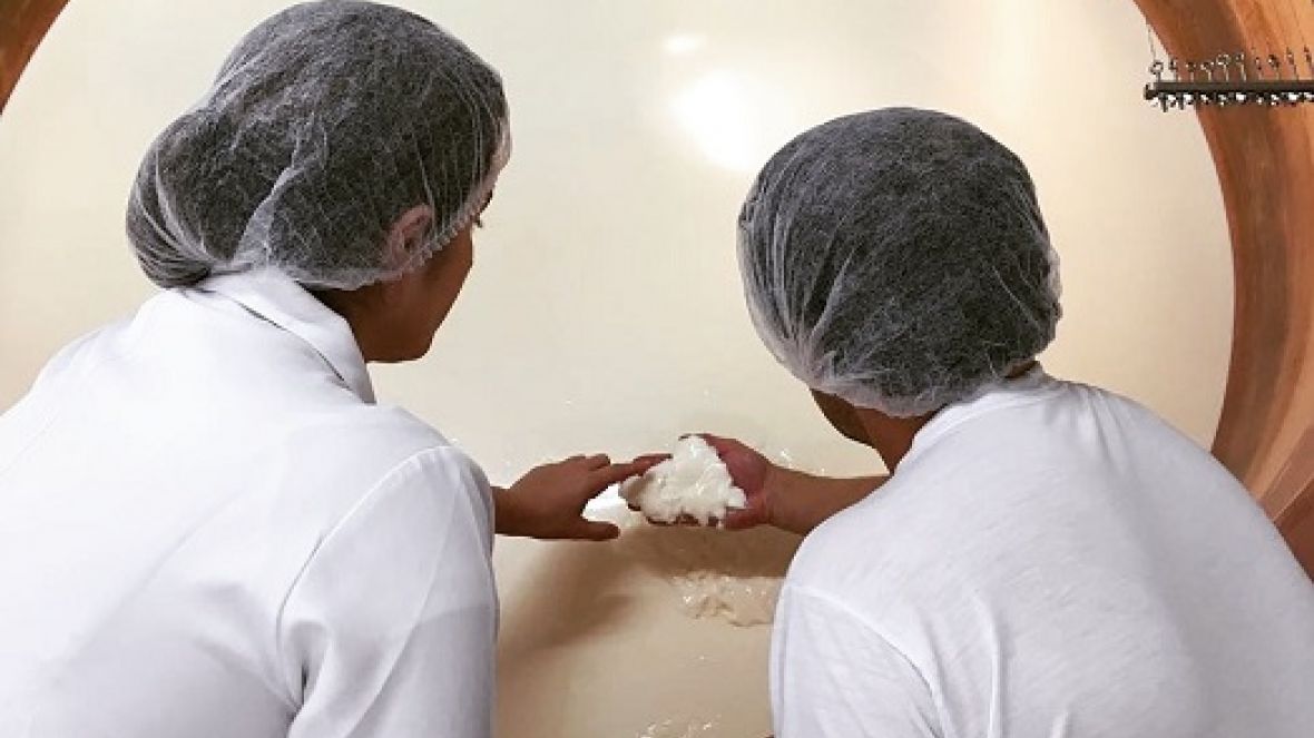 Queijos produzidos com leite de Zebu são premiados na maior festa do queijo artesanal brasileiro