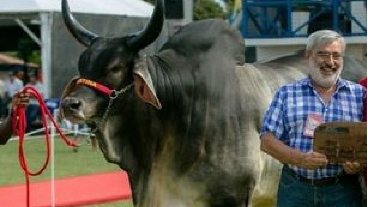 Guzerá perde criador Paulo Emílio de Almeida Carneiro